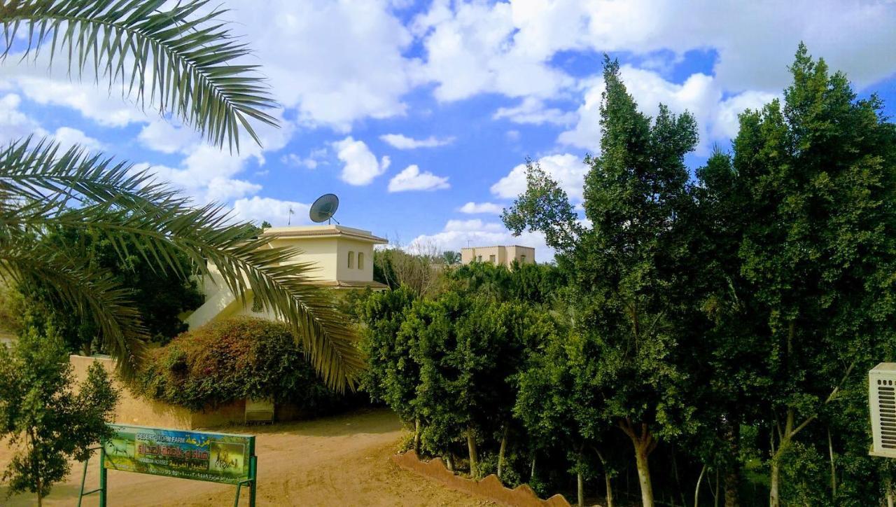 The Farm - Hotel & Horse Riding Kaherah Luaran gambar