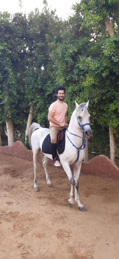 The Farm - Hotel & Horse Riding Kaherah Luaran gambar