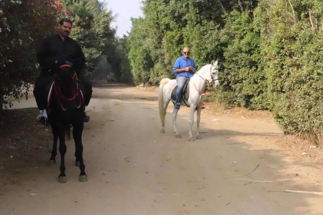 The Farm - Hotel & Horse Riding Kaherah Luaran gambar
