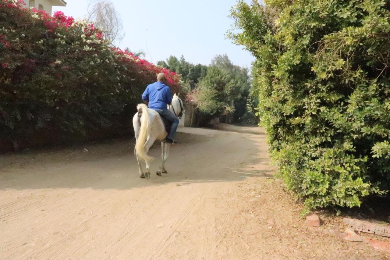 The Farm - Hotel & Horse Riding Kaherah Luaran gambar