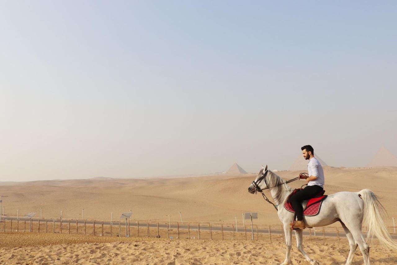 The Farm - Hotel & Horse Riding Kaherah Luaran gambar